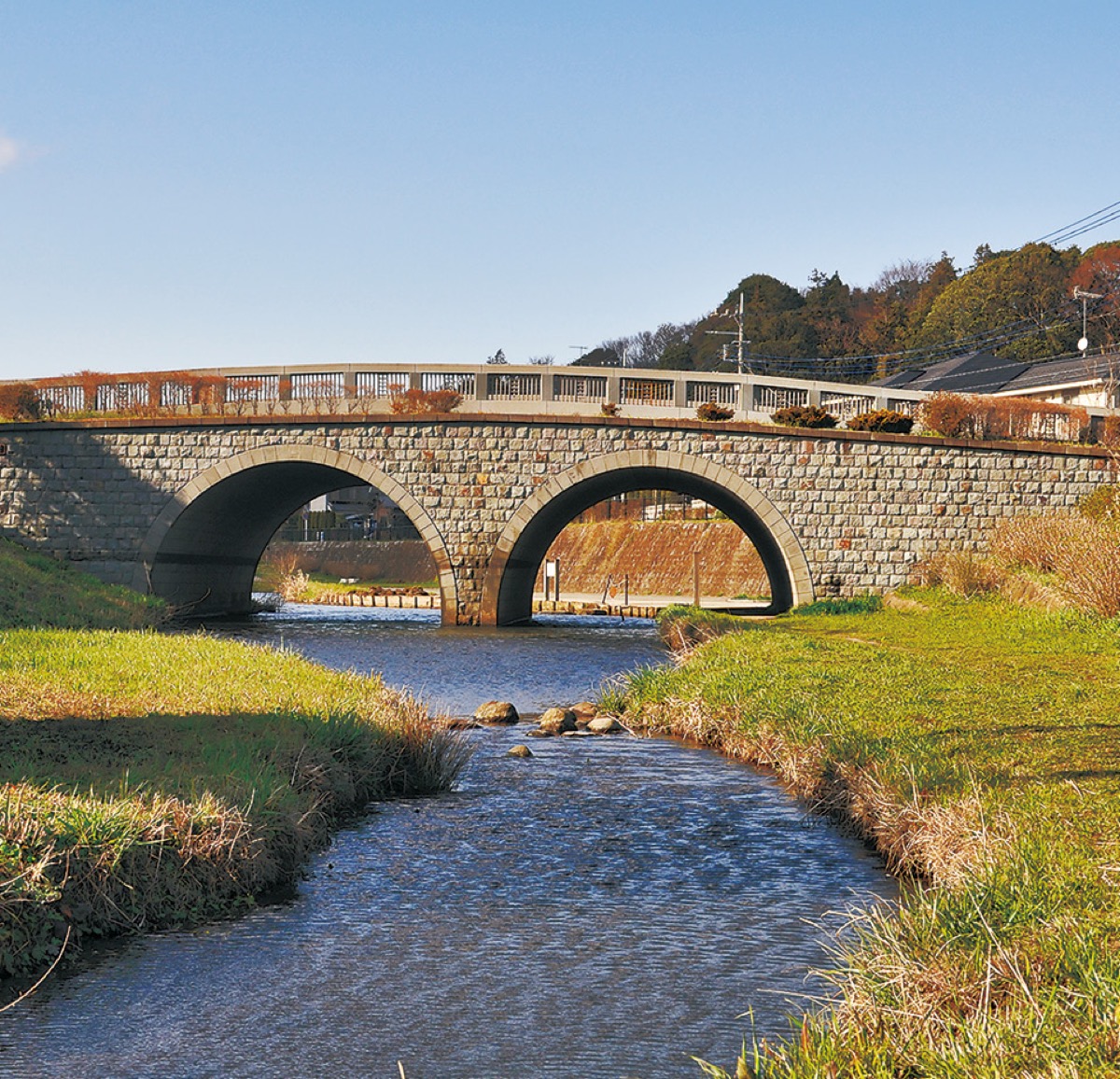 和泉川で自然満喫 | 戸塚区・泉区 | タウンニュース