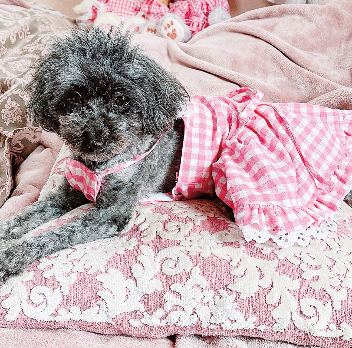 とつか動物園コーナー　Vol.6