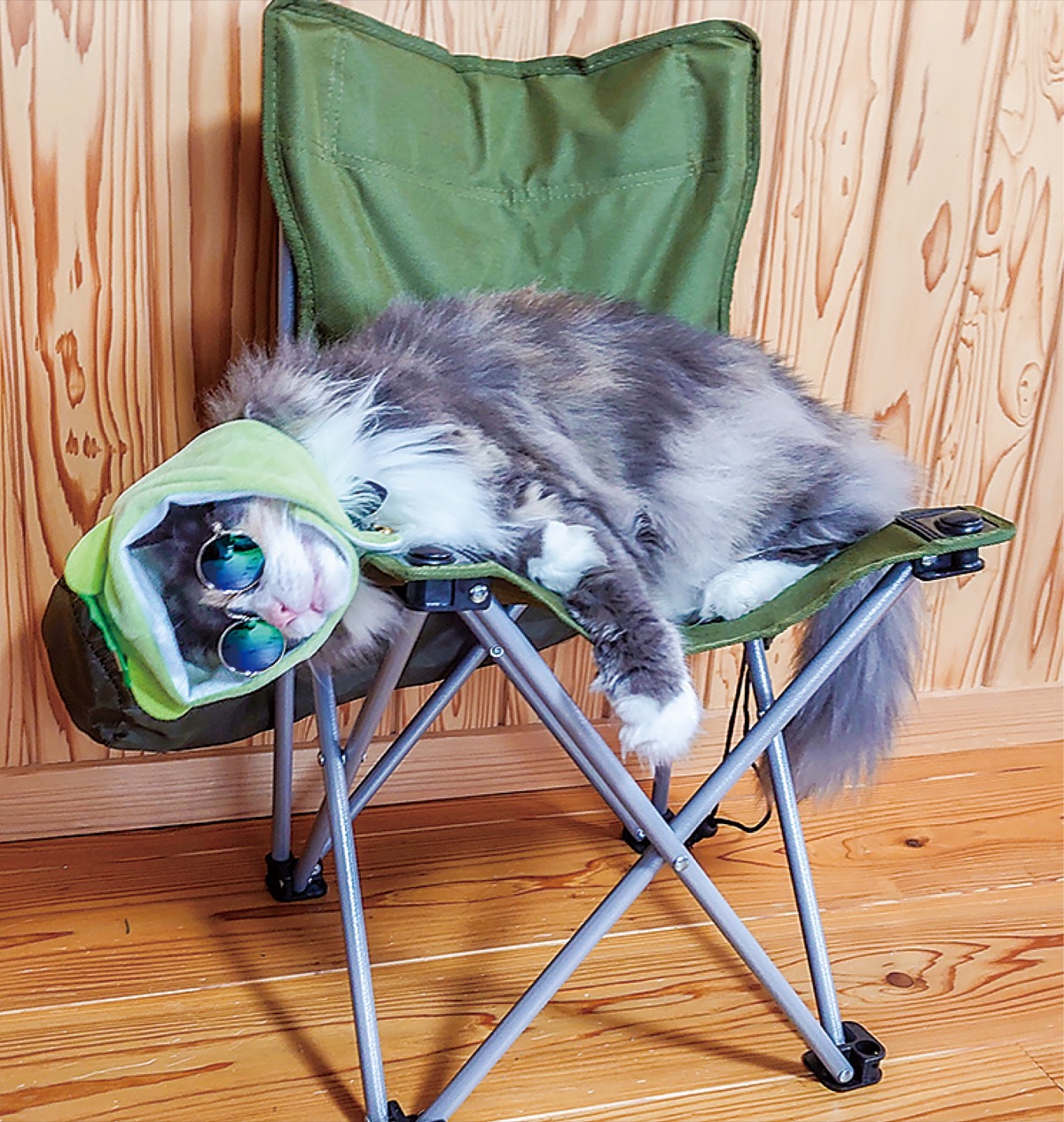 とつか動物園コーナー　Vol.11