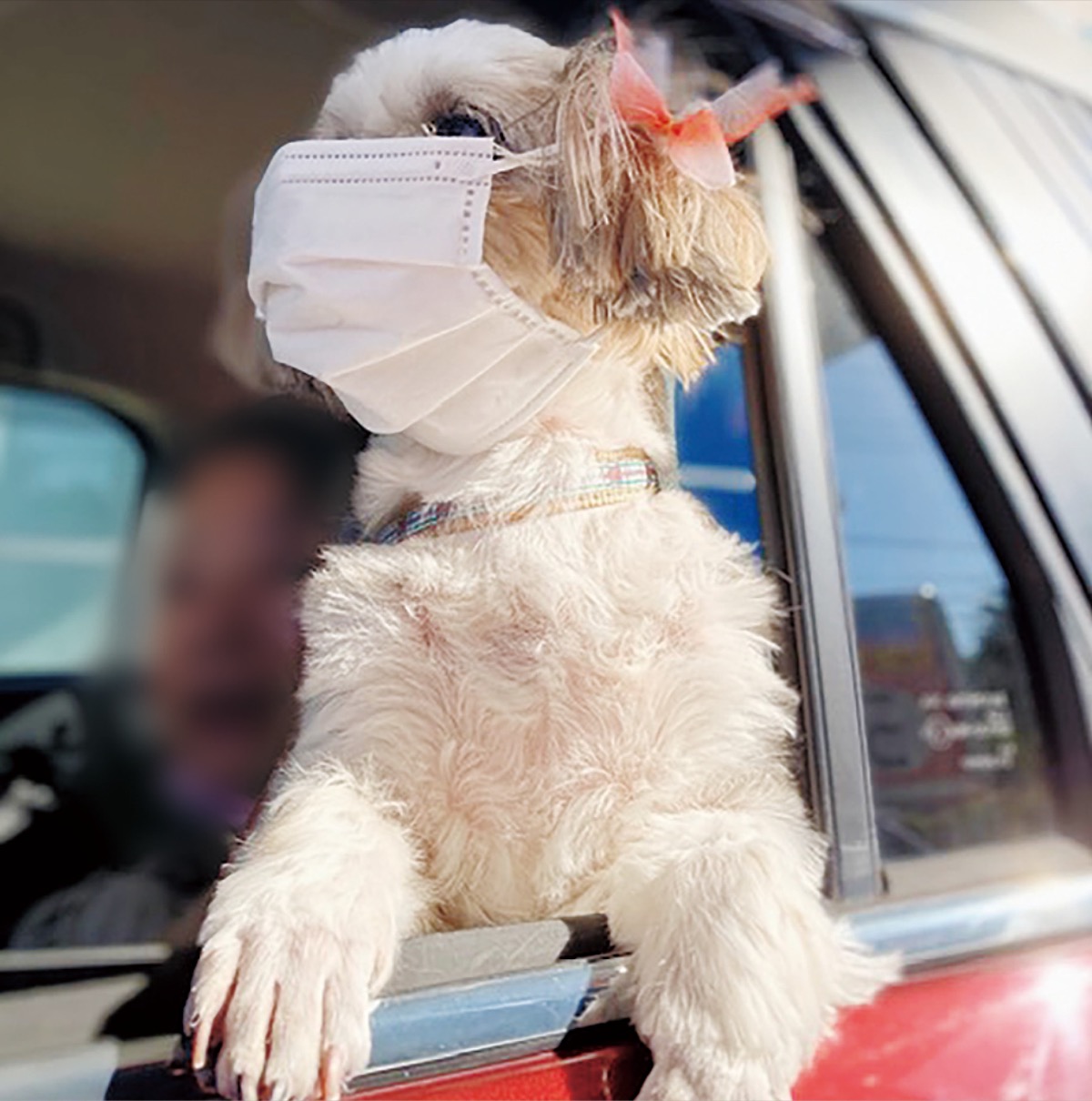 とつか動物園コーナー　Vol.13