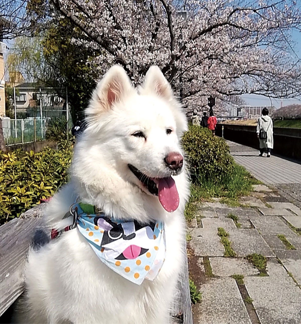 とつか動物園コーナー　Vol.14