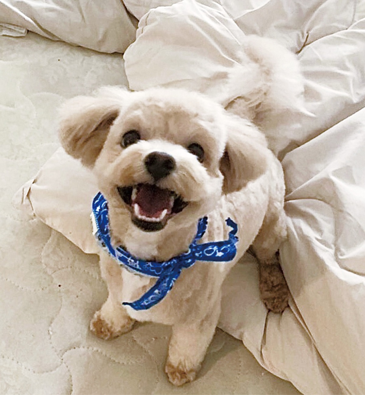 とつか動物園コーナー　Vol.15