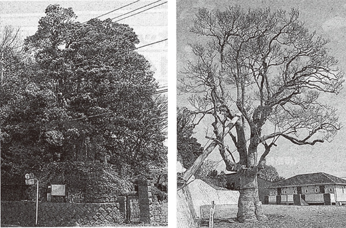 とつか歴史探訪