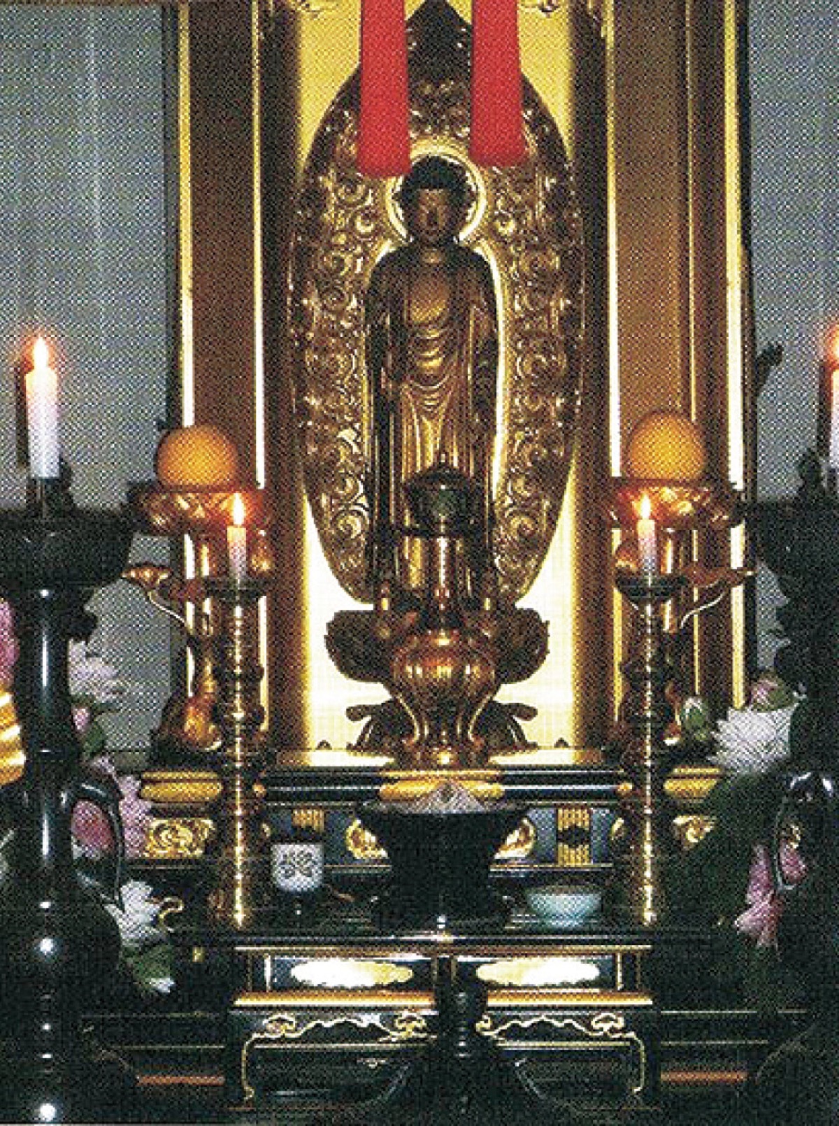 とつか歴史探訪