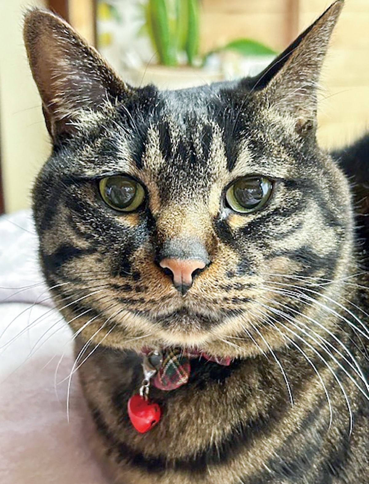 とつか動物園コーナー　Vol.27