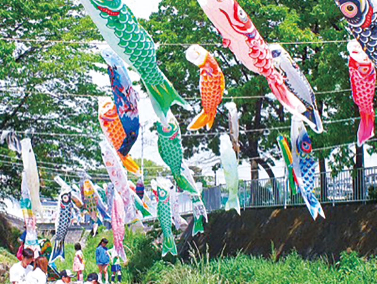 舞岡地区連合会 鯉のぼり400匹を掲出 4月29日から5月12日 | 戸塚区