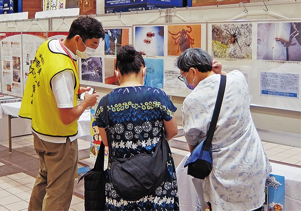 不快な虫・獣のパネル展
