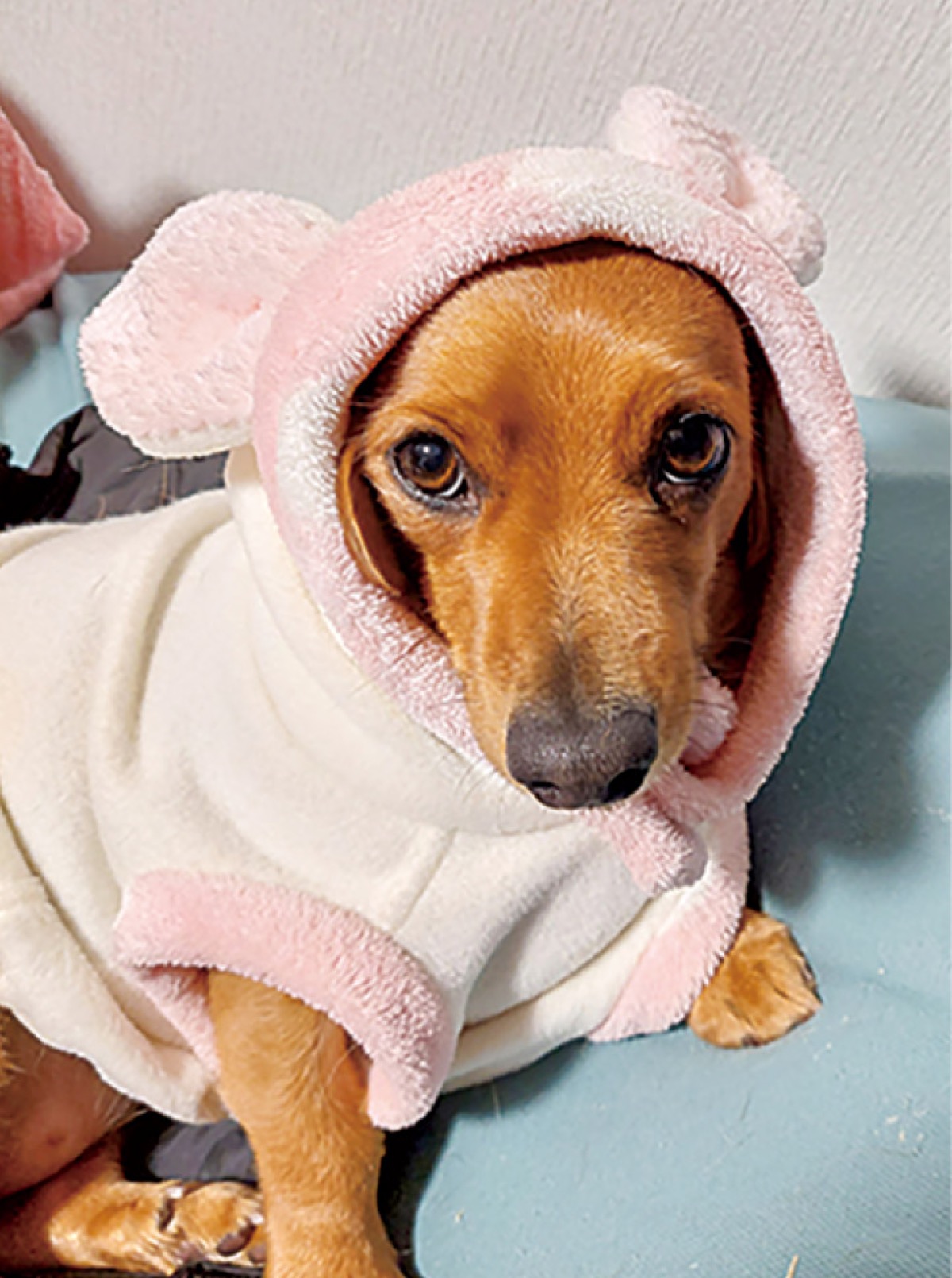 とつか動物園コーナー　Vol.29