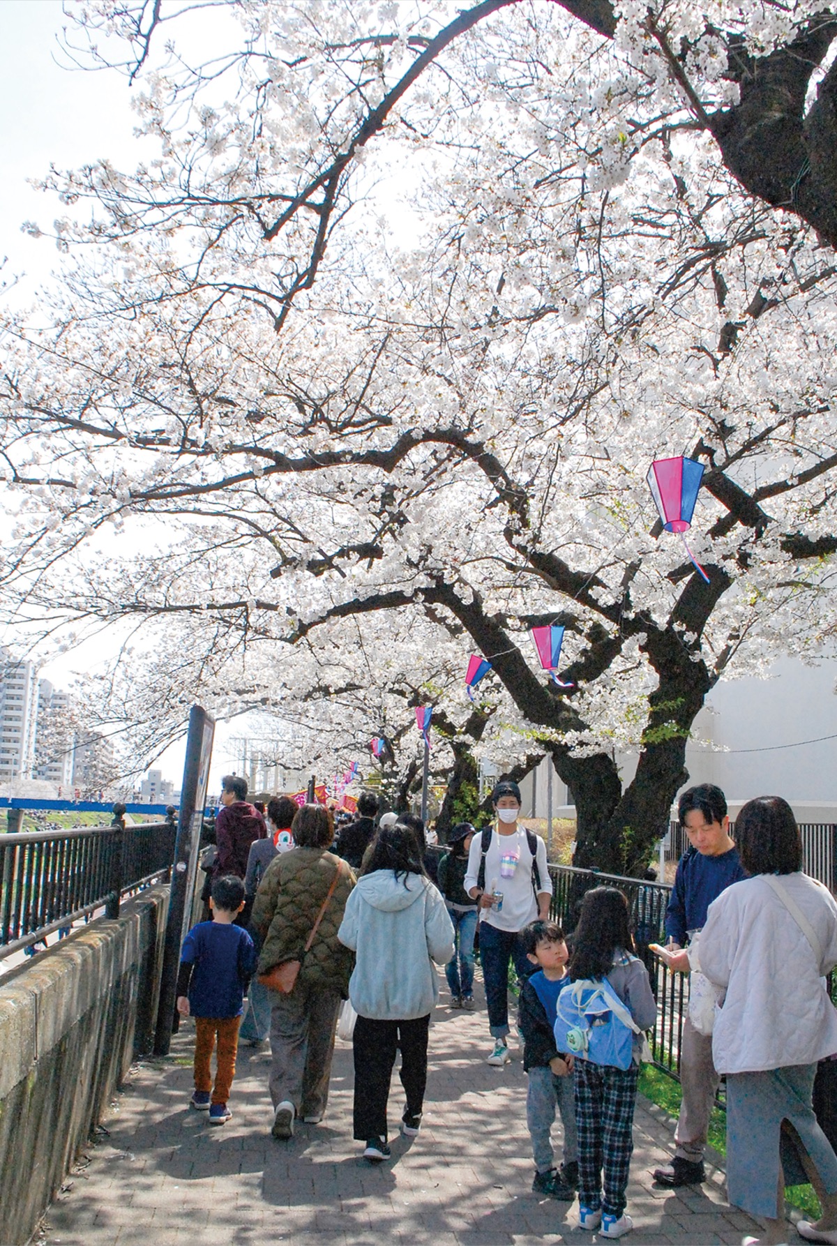 桜満開に、にぎわい