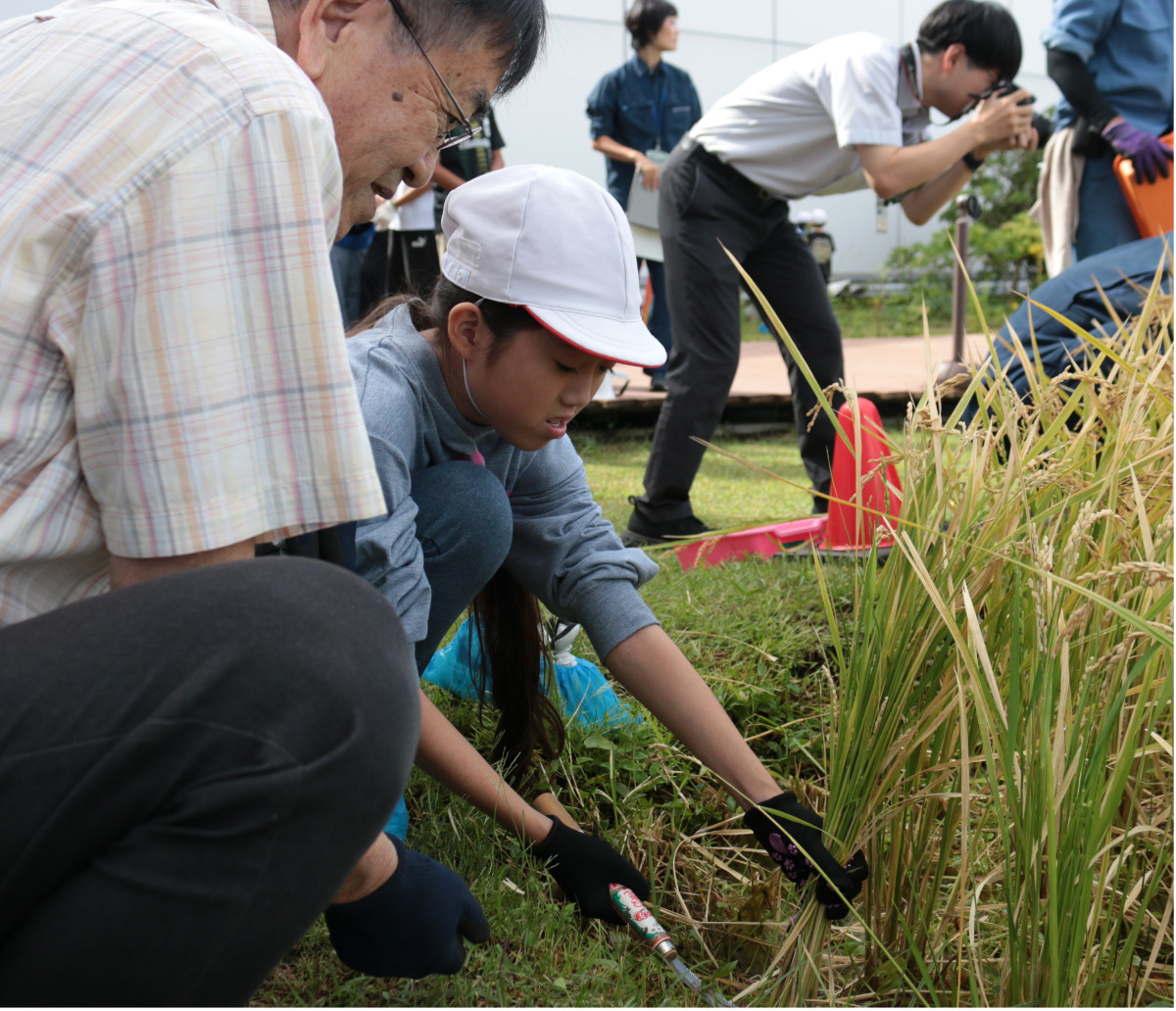 ｢実りの秋｣を収穫