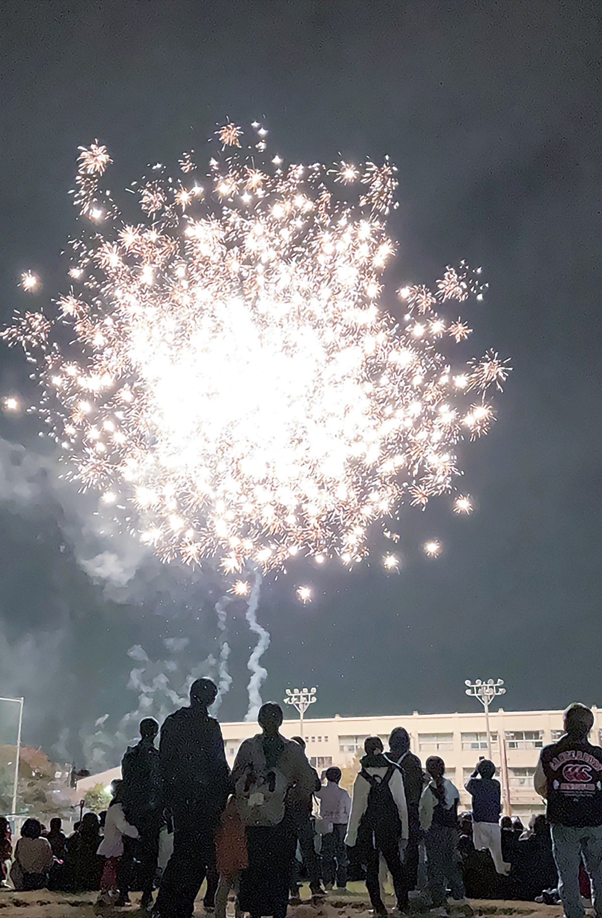 校庭に大輪咲かせる