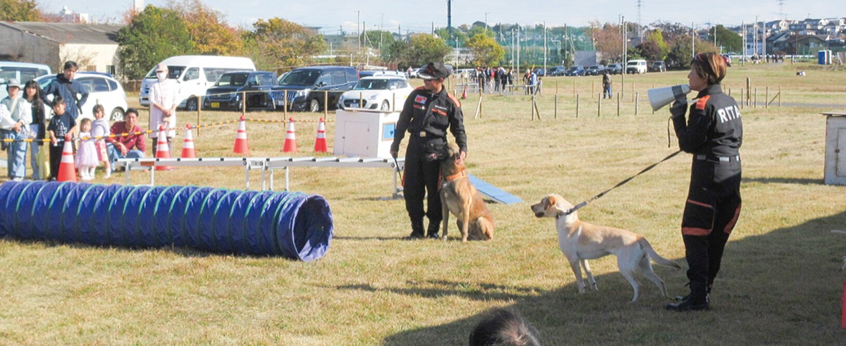広い原っぱを楽しむ一日