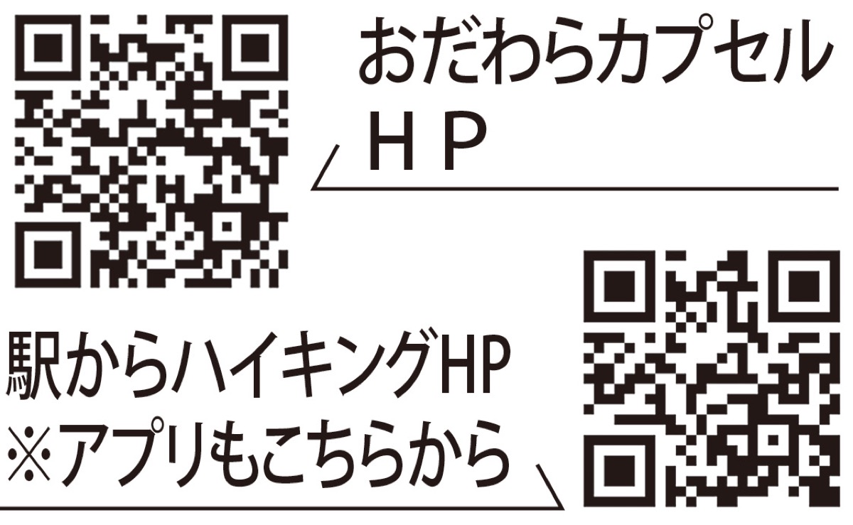 行先はカプセル次第 (写真2)