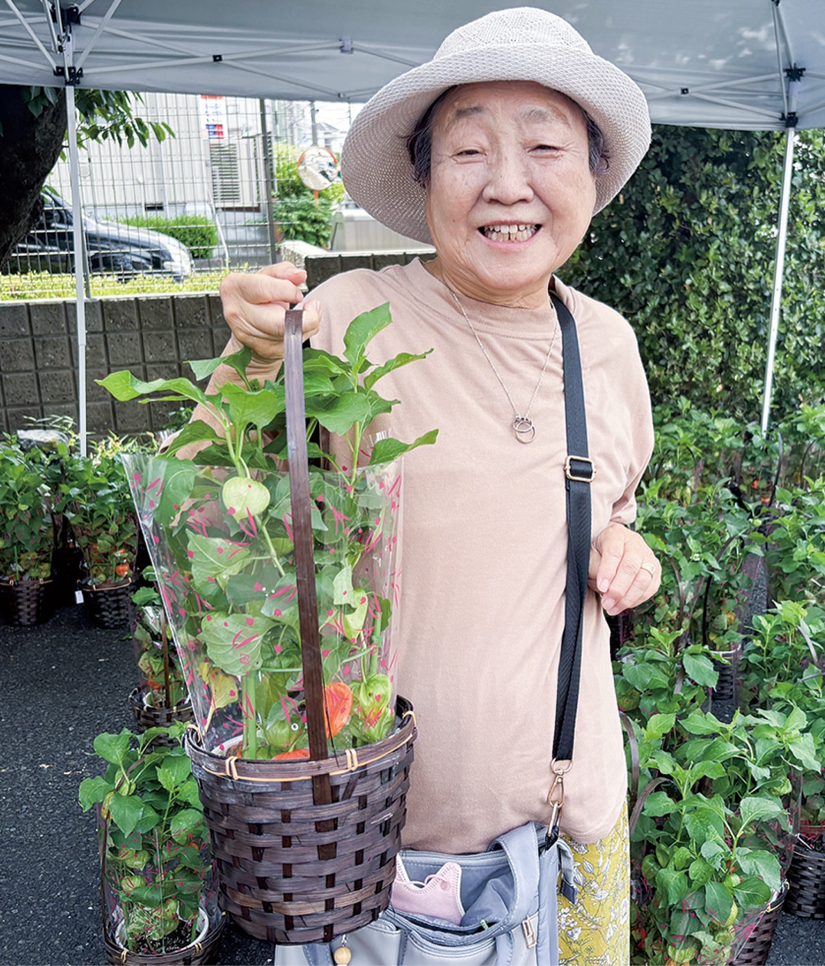 「ほおずき毎年購入しています」と笑顔