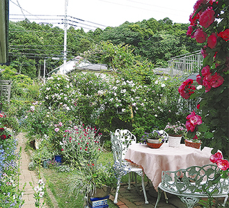 公開する庭の一例（石川さん提供、写真は昨年）