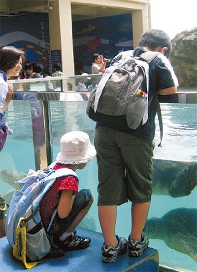 17年目で活動に幕