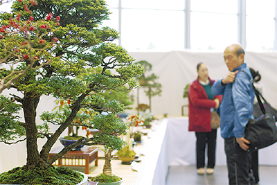 日本古来の芸術を堪能