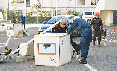 警察と救助犬が連携訓練