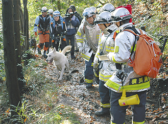 山道を捜索する救助隊員らと救助犬