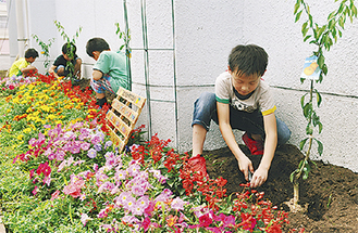 ゆずの苗木を植える児童