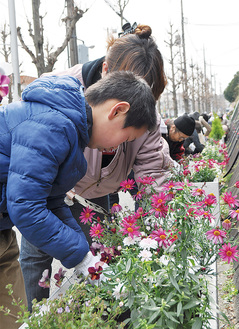 幅広い年代の住民が花植えに参加