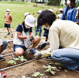 公園愛護会メンバーと苗を植える児童