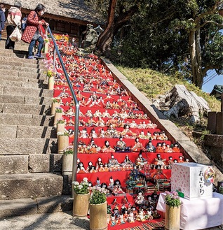 参道階段などに並ぶひな人形＝２０２３年３月