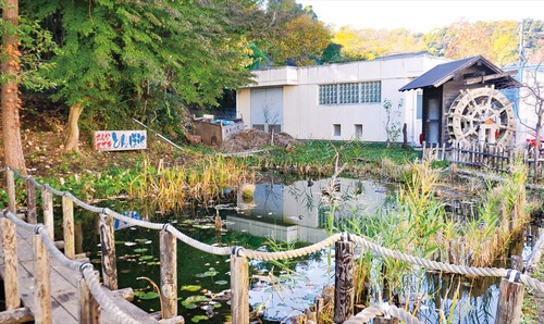 校舎裏にある「とんぼ池」