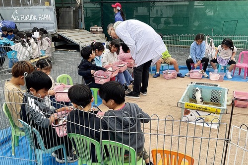 モルモットを抱っこする児童