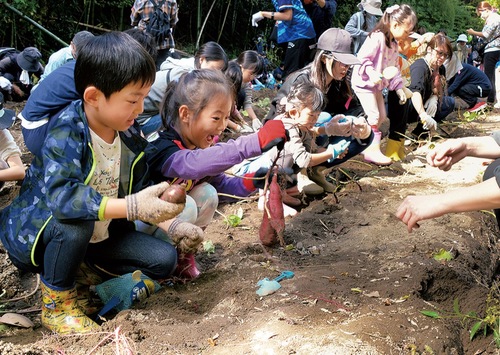 サツマイモを掘り出す子どもたち