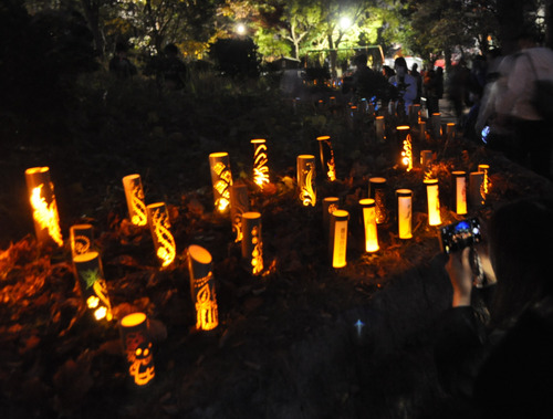 幻想的な灯りに包まれた会場