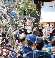 杉田で観梅楽しむ