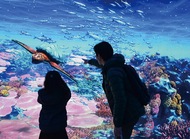 没入型体験施設