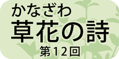 どんな毒にも効く「ヤドリギ」
