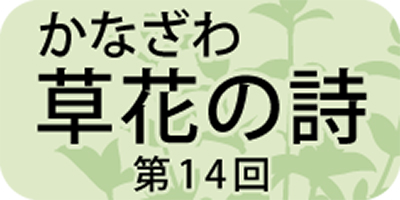 椿事（珍事）と「ツバキ」の関係