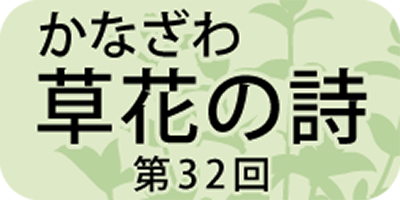 ラグビーボール状の「エゴノキ」