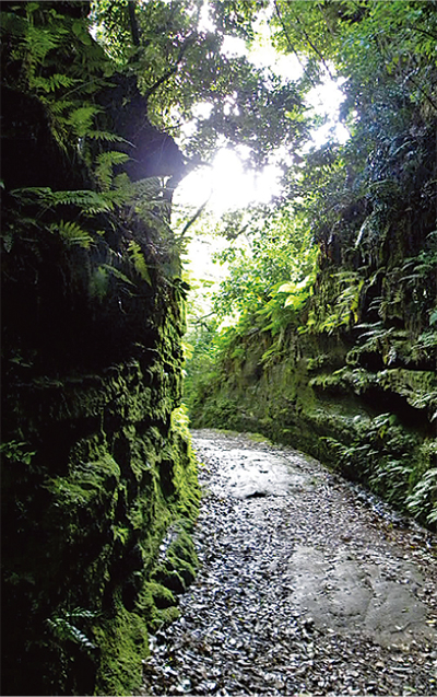かねさわ地名抄
