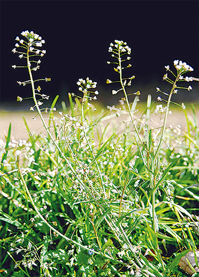 「先んずれば人を制す」の精神