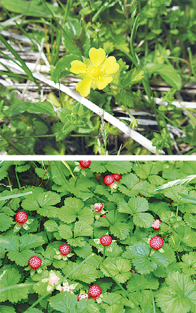 枕草子では「名おそろしきもの」