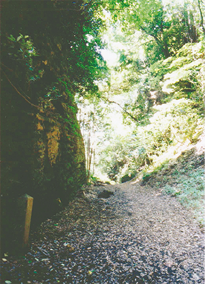 六浦津と朝夷奈切通