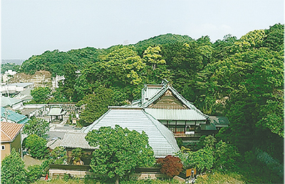 太田道灌と山吹の里伝説