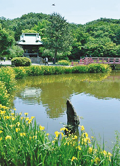 金沢八名木と金沢四石