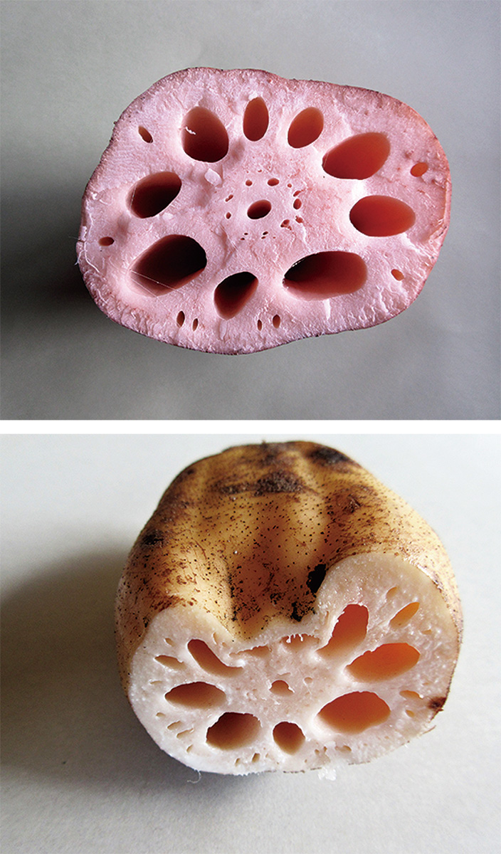 レンコンの孔は何のため？