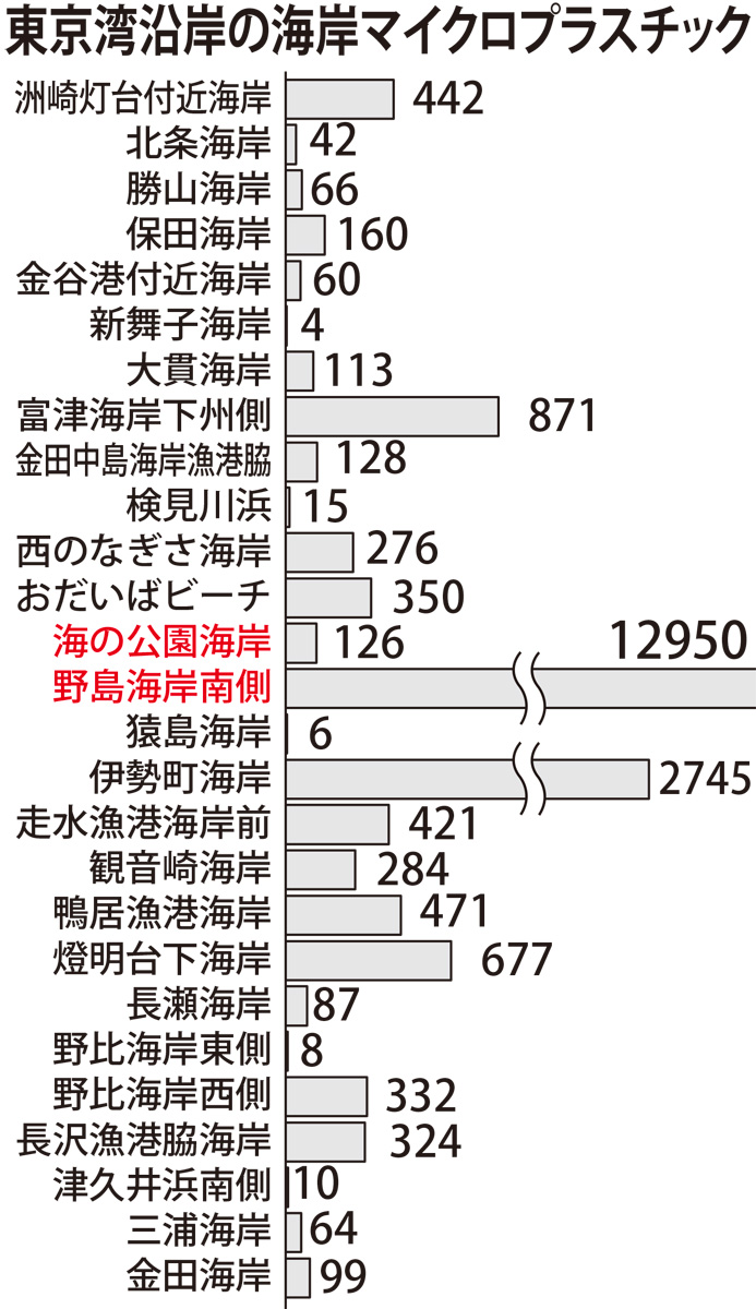 野島海岸で最多検出 (写真2)