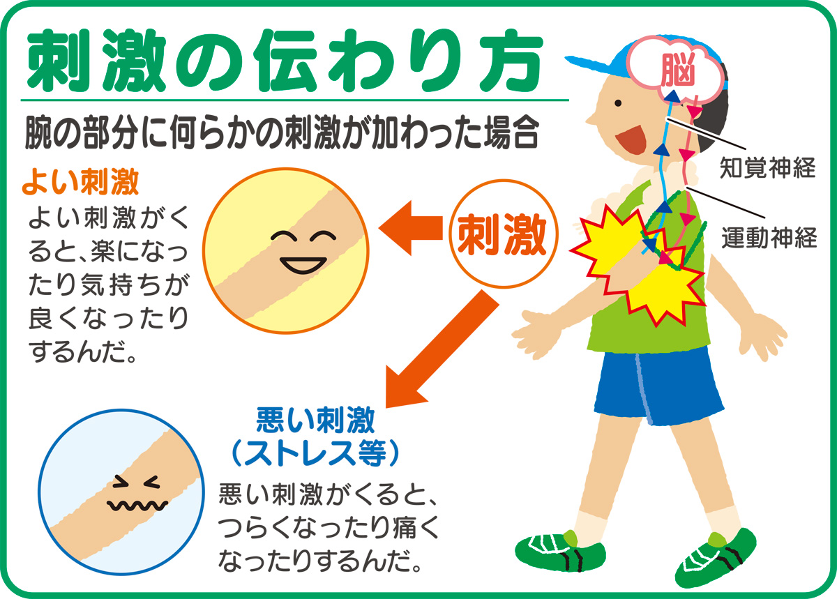 スパイラルテーピング療法 貼って整える筋肉のバランス 取材協力