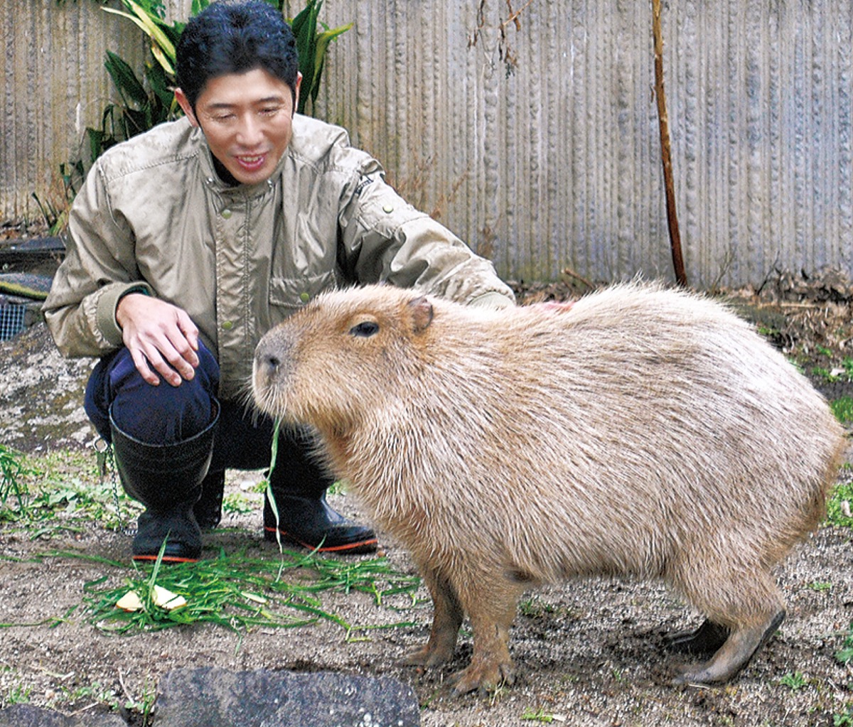 実は世界最大のネズミ