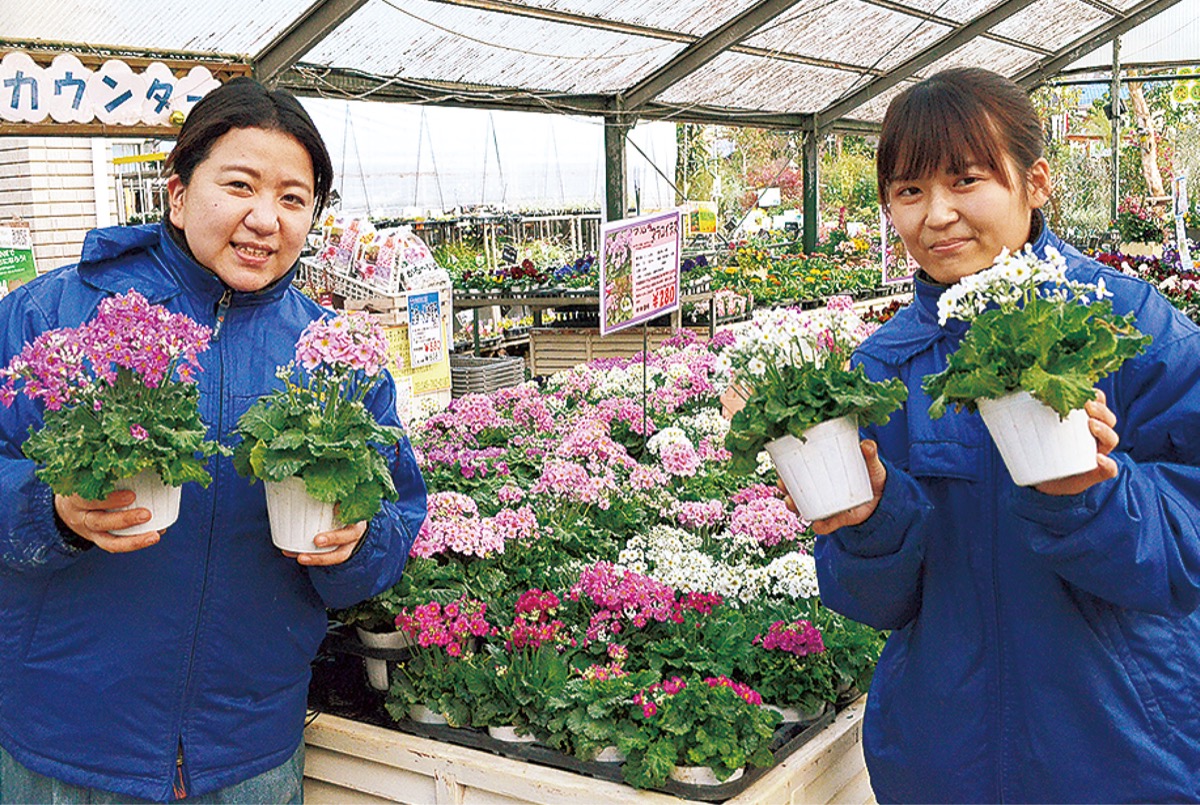 地域に花 緑を届け続ける 花育 で育てる機会創出 グリーンファーム 金沢区 磯子区 タウンニュース