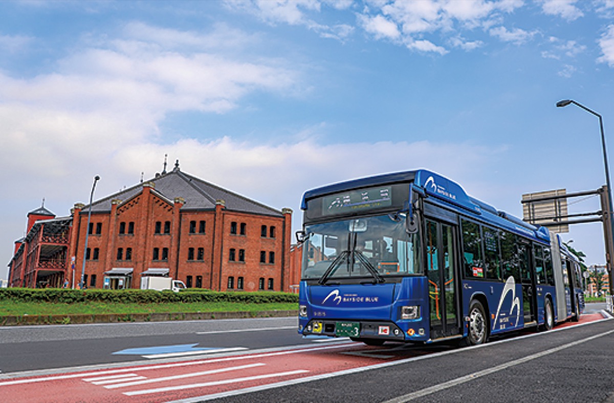 Amnutcf8knceem Amnutcf8knceem