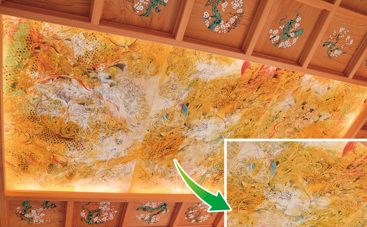 ▲岡村天満宮神楽殿の天井画。絵の中心に向かって２頭の龍が向き合っている＝右下写真。周囲には梅も描かれている