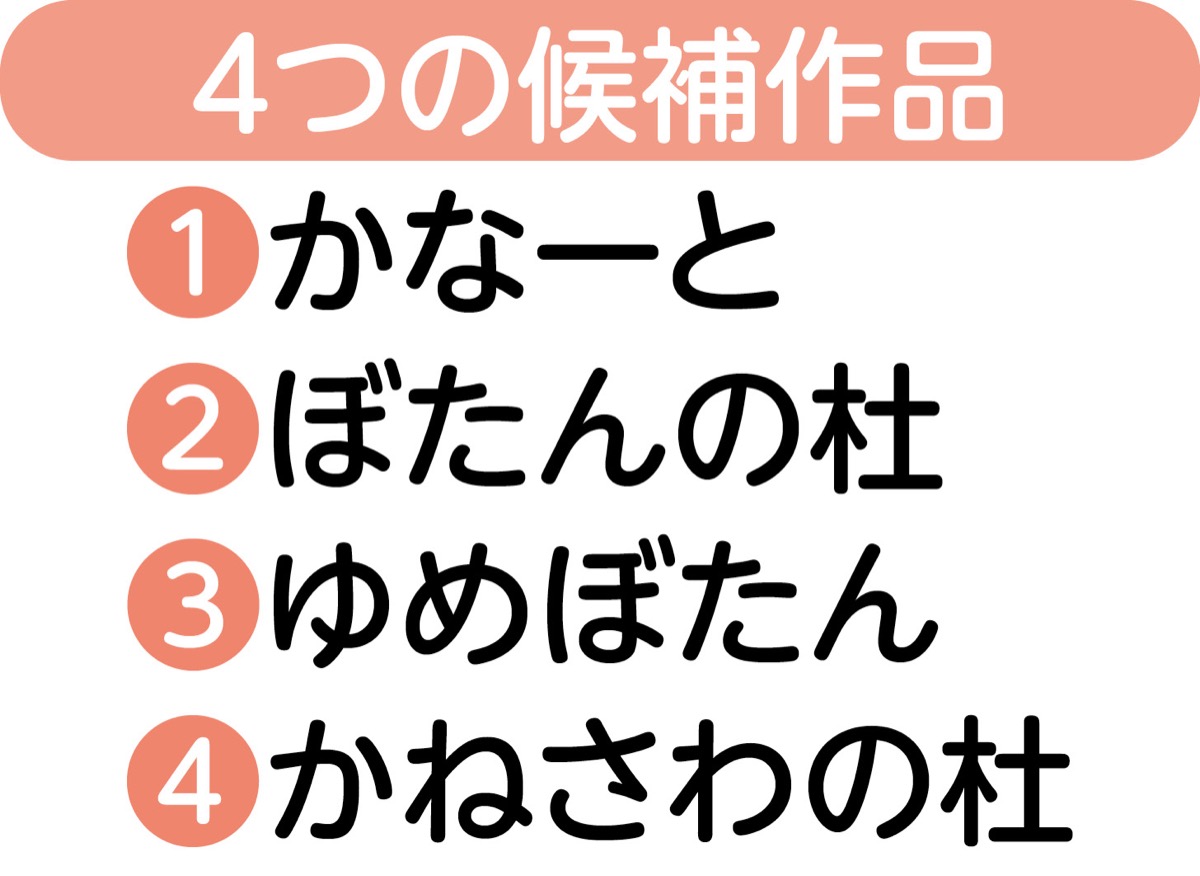 ４候補から投票募る